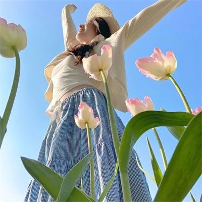 玉女龙驹