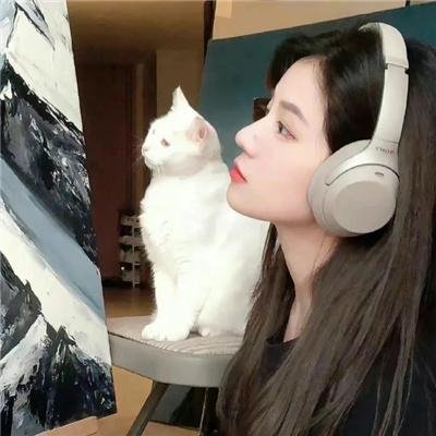 四光猪现蠢记